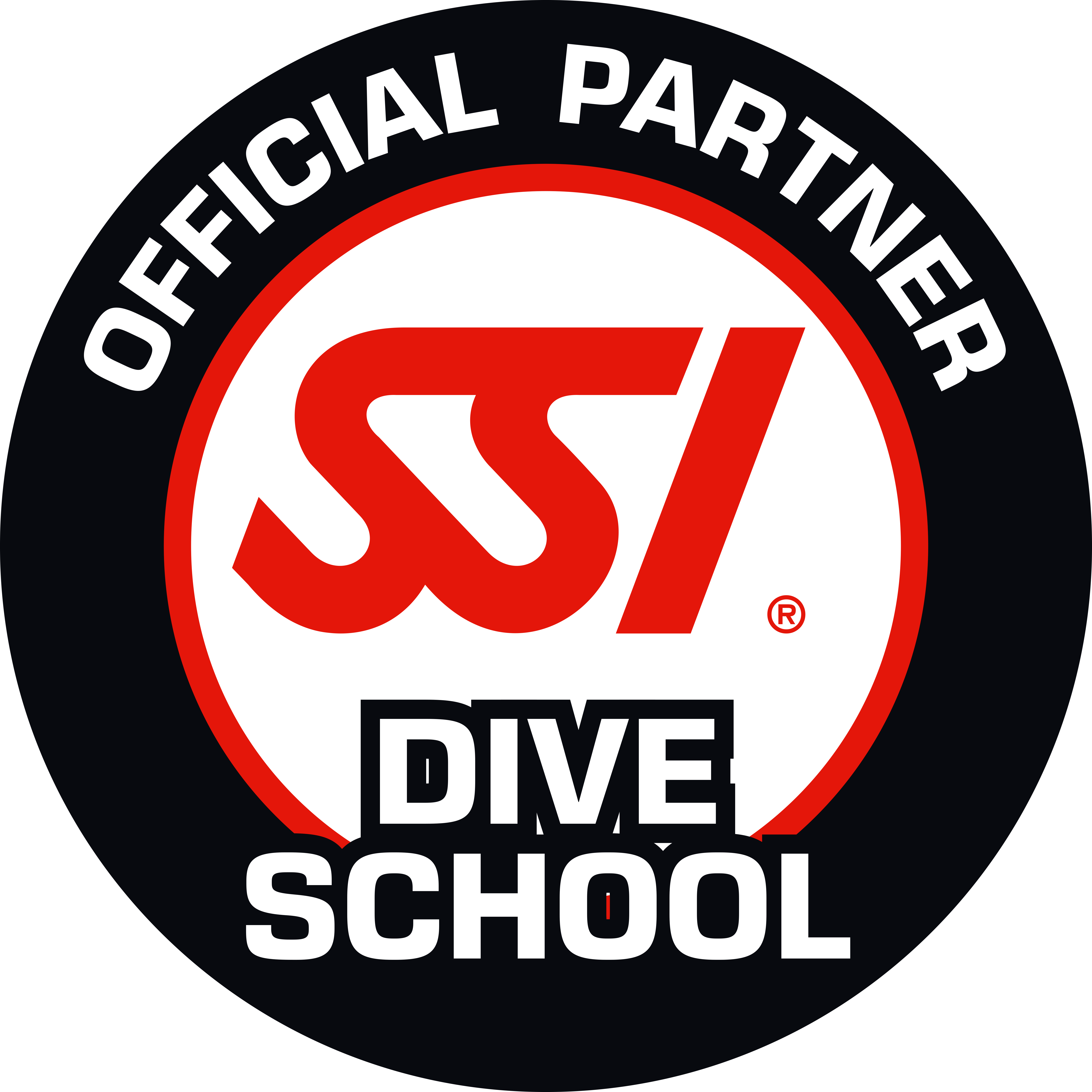 SSI Official Partner Dive School