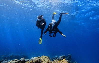 Diving Courses 5 6 shore dive
