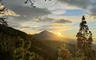 Top 10 epic dive sites in Tenerife