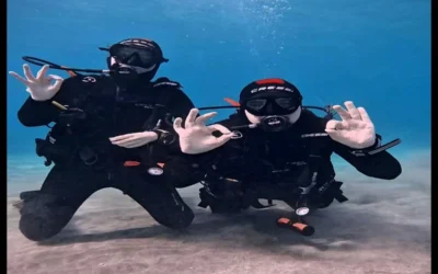 Is scuba diving safe for beginners in Tenerife?