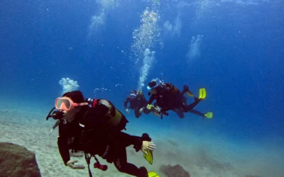 Scuba Diving in Los Cristianos: The Ultimate Guide to Tenerife South’s Best Diving Hub