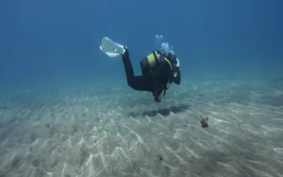 Responsible Diving in Tenerife: How to Enjoy Marine Life Without Harming It