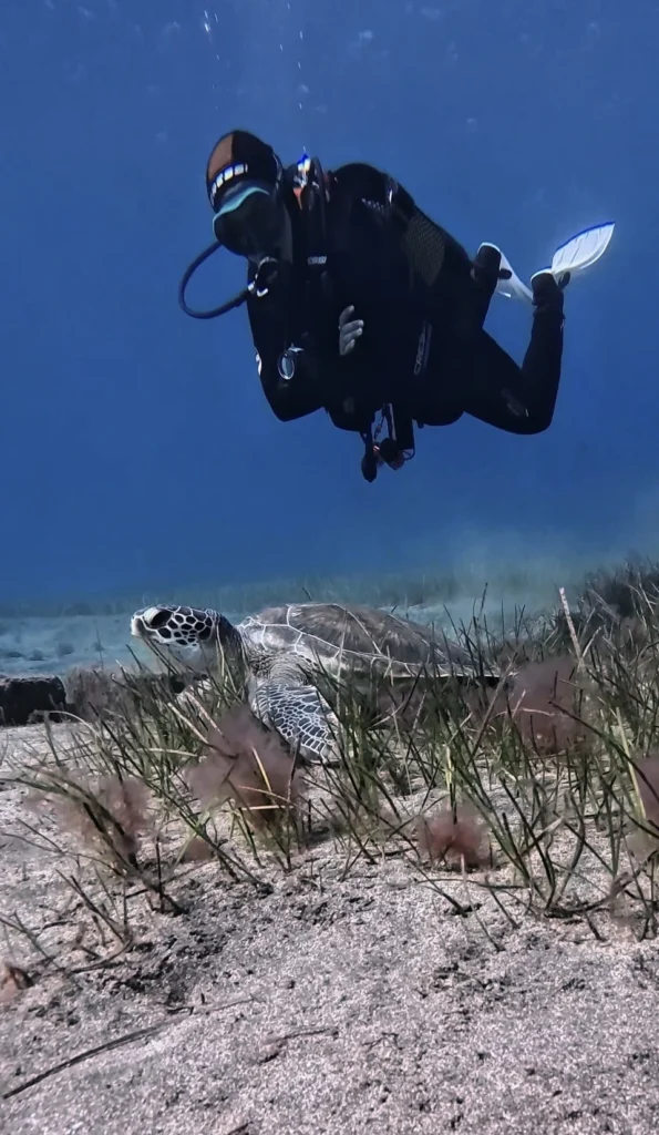Responsible scuba diving in Tenerife protecting marine life