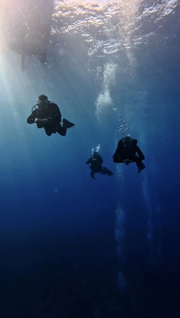 Responsible scuba diving in Tenerife protecting marine life