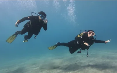 Blog 2 Open Water Course in Tenerife: The Complete Program Guide (What You’ll Do, Learn, and Earn)