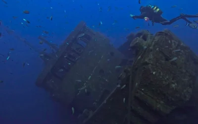 Blog 1 Wreck Diving Tenerife: Exploring the Island’s Most Fascinating Shipwrecks