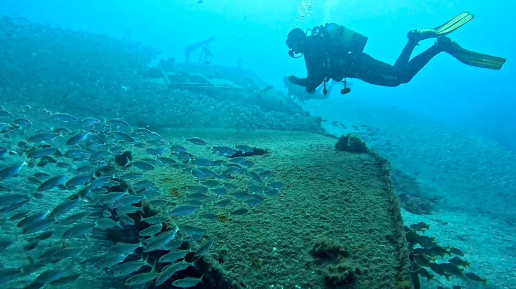 The stern section of the El Condesito wreck near Punta Rasca in Tenerife, now an artificial reef surrounded by marine life.