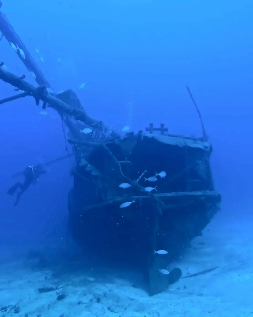 Divers exploring the Meridian wreck in Tenerife, a small artificial reef covered in marine life.
