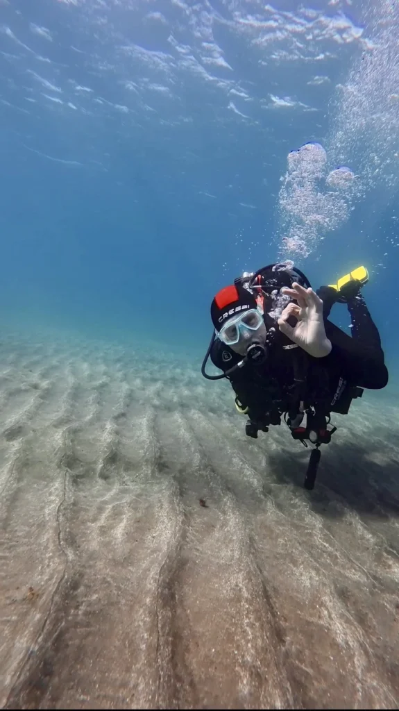 Scuba diver exploring marine life in Tenerife.