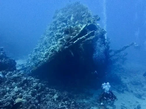 Scuba diver exploring a coral-covered shipwreck during an SSI Wreck Diving Specialty course in Tenerife with Barbarian Diving